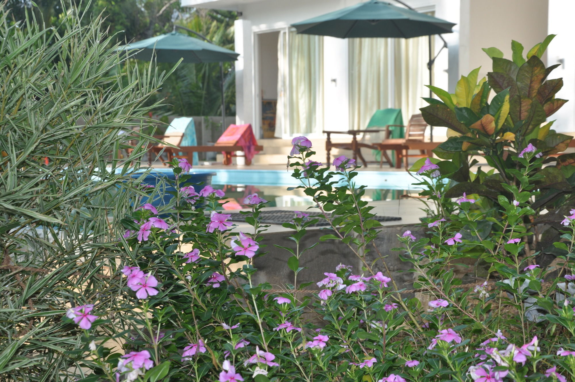 Karma Guesthouse Hikkaduwa Exterior photo