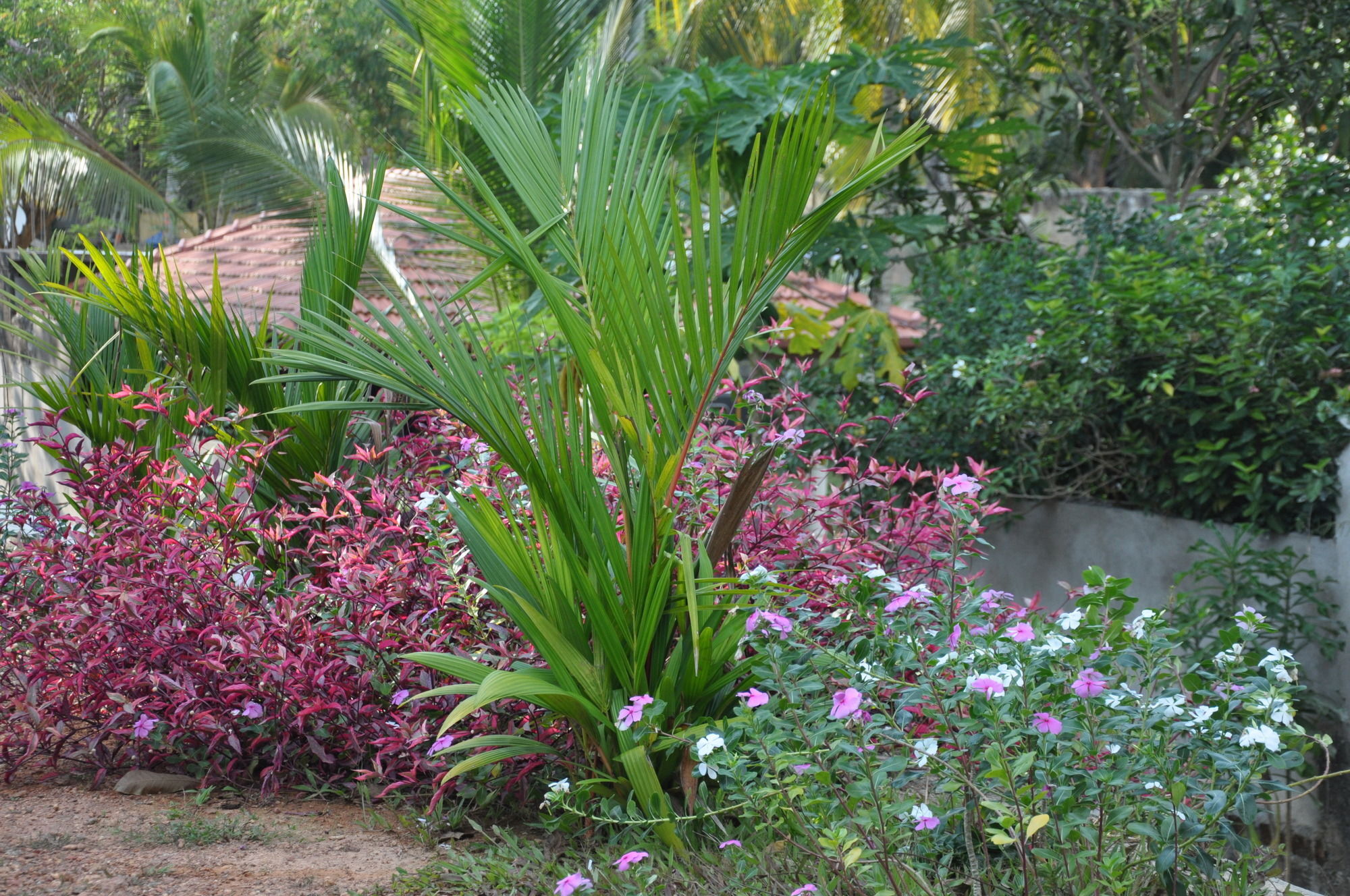 Karma Guesthouse Hikkaduwa Exterior photo